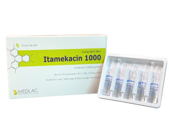 TỐI ƯU HÓA CHẾ ĐỘ LIỀU KHÁNG SINH AMINOGLYCOSIDE TRONG THỰC HÀNH LÂM SÀNG