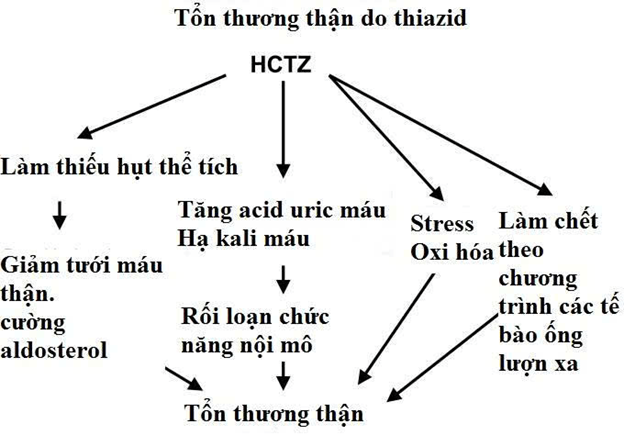 thiazid